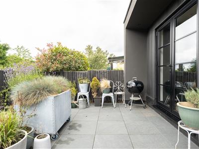 Picture 38